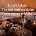 Luxury Safaris: The Best High-End Safari Experiences in Africa