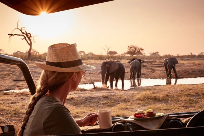 The Top 17 Luxury Safari Lodges in the World (2023/2024) – Discover Africa