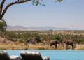African Wildlife Safari and Tours | Kiboko Safaris