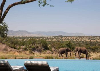 African Wildlife Safari and Tours | Kiboko Safaris