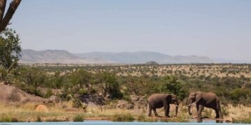 African Wildlife Safari and Tours | Kiboko Safaris