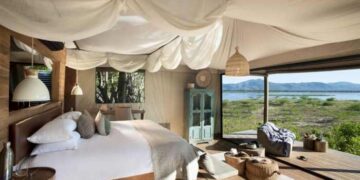 A Comprehensive Guide to Planning Your Dream Safari – THETRAVELBLOG.at ...